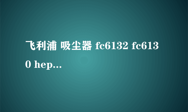飞利浦 吸尘器 fc6132 fc6130 hepa过滤网多久用换