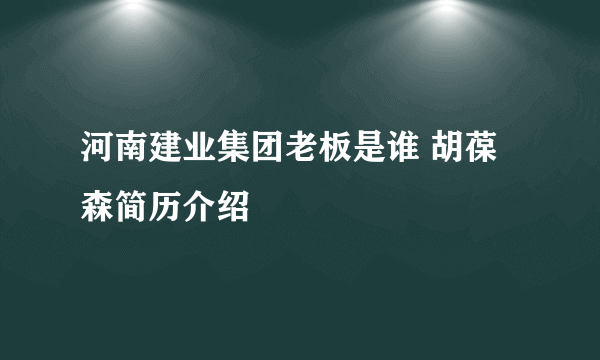 河南建业集团老板是谁 胡葆森简历介绍