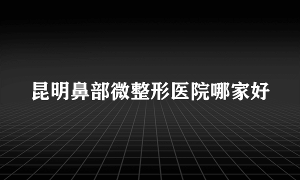昆明鼻部微整形医院哪家好