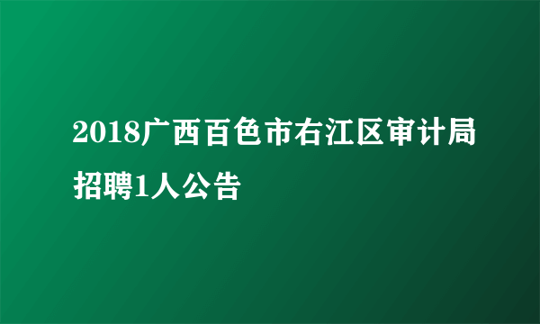 2018广西百色市右江区审计局招聘1人公告