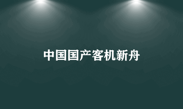 中国国产客机新舟