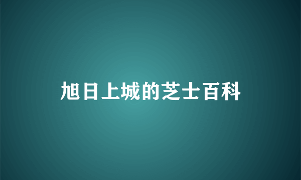 旭日上城的芝士百科