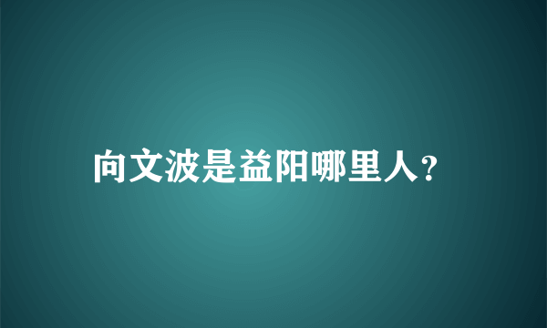 向文波是益阳哪里人？