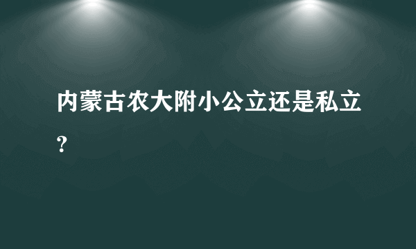 内蒙古农大附小公立还是私立？