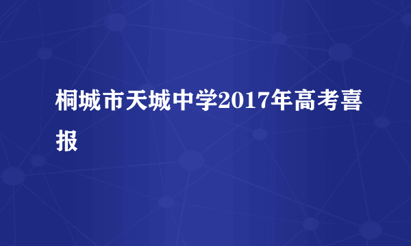 桐城市天城中学2017年高考喜报