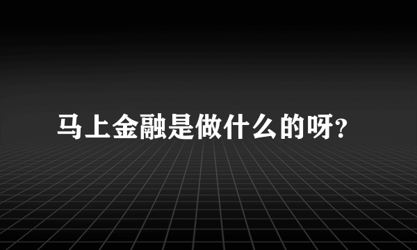 马上金融是做什么的呀？
