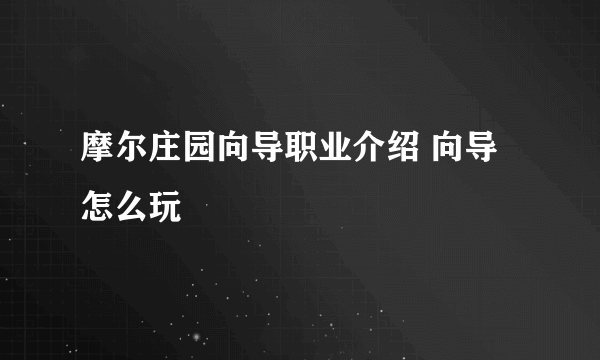 摩尔庄园向导职业介绍 向导怎么玩