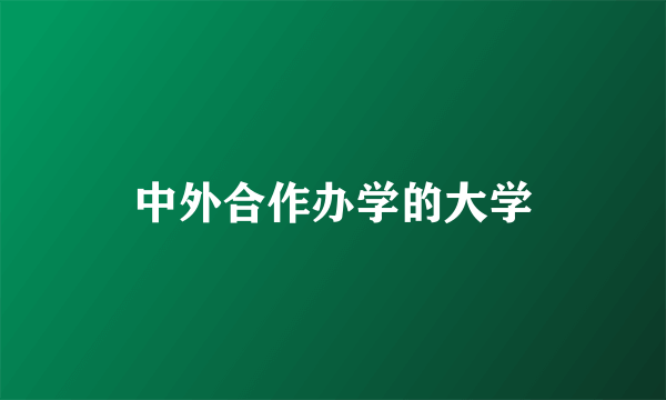 中外合作办学的大学