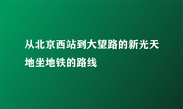 从北京西站到大望路的新光天地坐地铁的路线