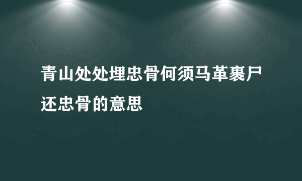 青山处处埋忠骨何须马革裹尸还忠骨的意思