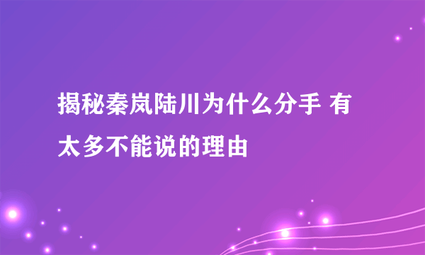 揭秘秦岚陆川为什么分手 有太多不能说的理由