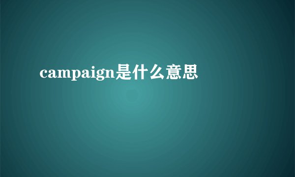 campaign是什么意思