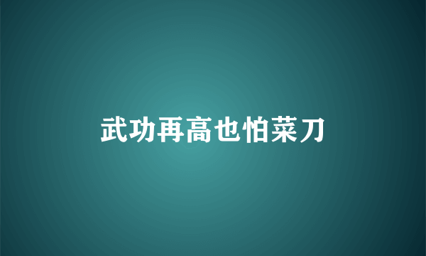 武功再高也怕菜刀