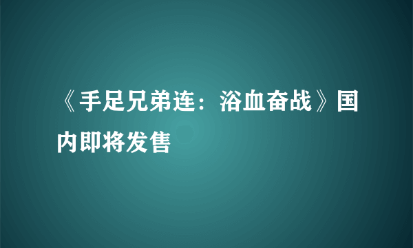 《手足兄弟连：浴血奋战》国内即将发售