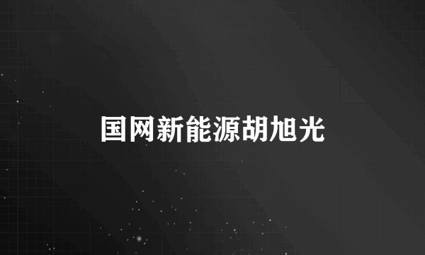 国网新能源胡旭光