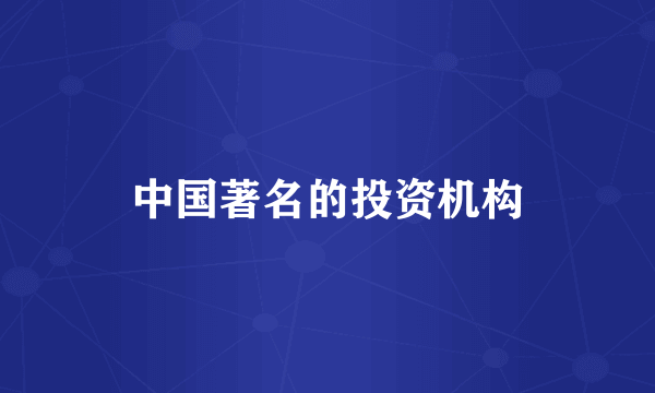 中国著名的投资机构