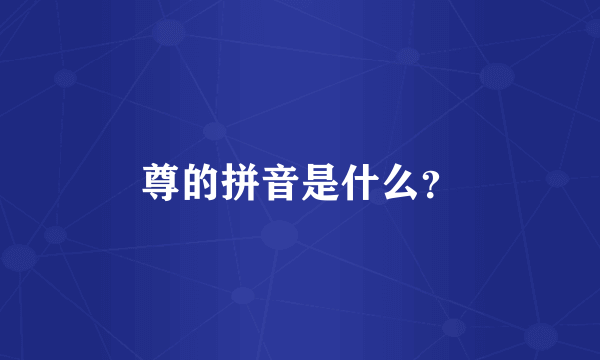 尊的拼音是什么？