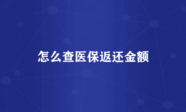 怎么查医保返还金额