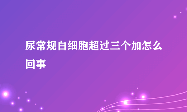 尿常规白细胞超过三个加怎么回事