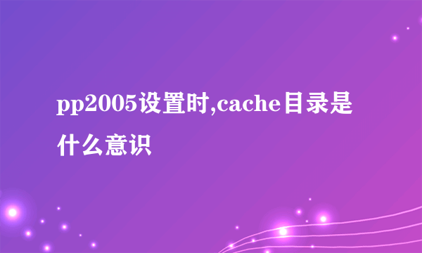 pp2005设置时,cache目录是什么意识