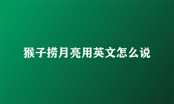 猴子捞月亮用英文怎么说