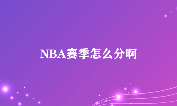 NBA赛季怎么分啊