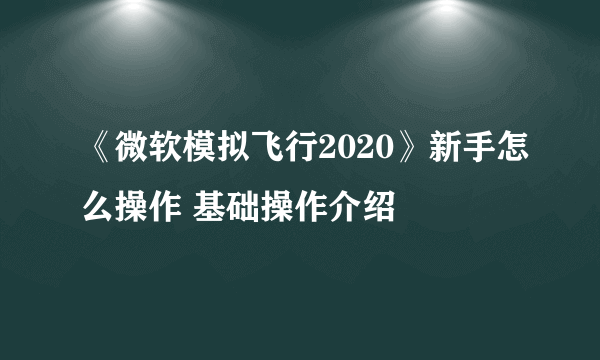 《微软模拟飞行2020》新手怎么操作 基础操作介绍