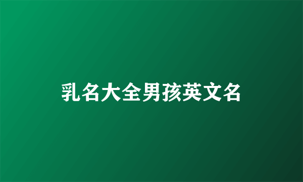 乳名大全男孩英文名