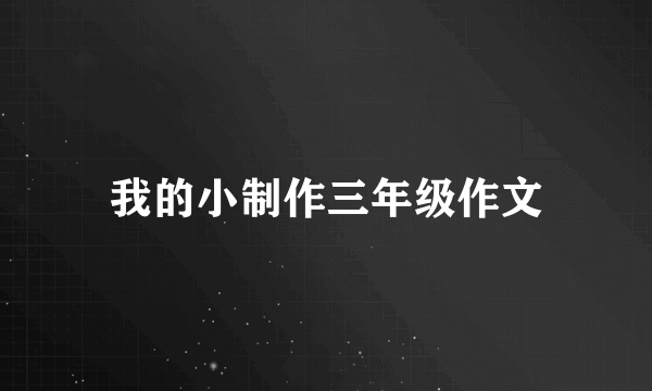 我的小制作三年级作文