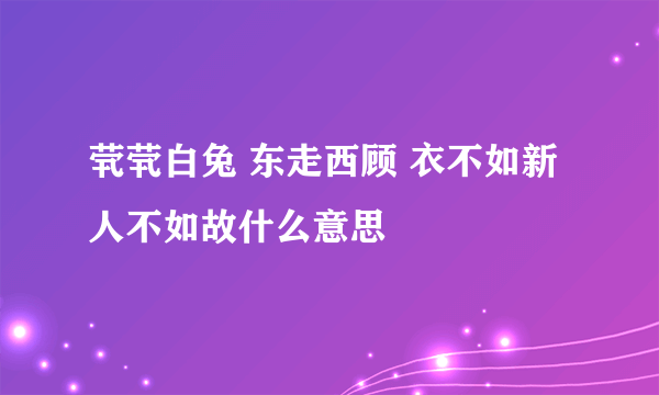 茕茕白兔 东走西顾 衣不如新 人不如故什么意思