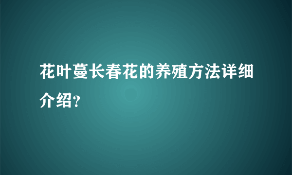 花叶蔓长春花的养殖方法详细介绍？