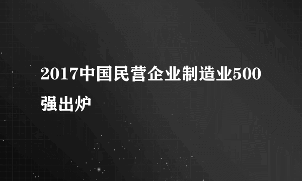2017中国民营企业制造业500强出炉