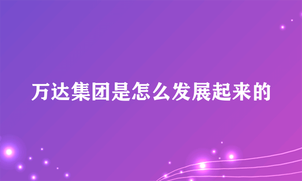 万达集团是怎么发展起来的
