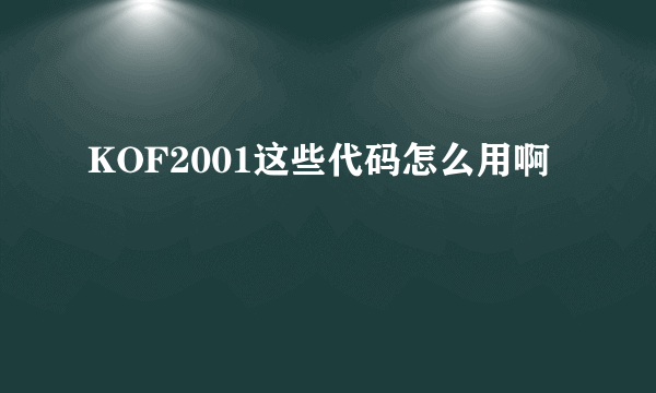 KOF2001这些代码怎么用啊