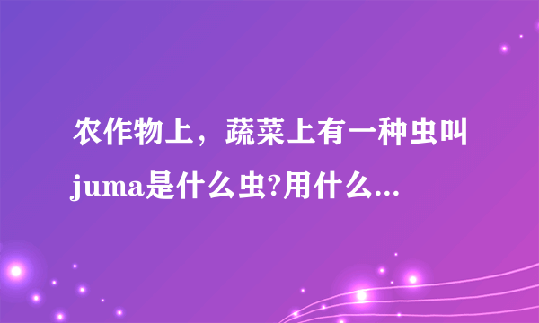 农作物上，蔬菜上有一种虫叫juma是什么虫?用什么农药杀这种虫？