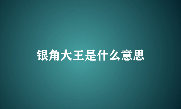 银角大王是什么意思