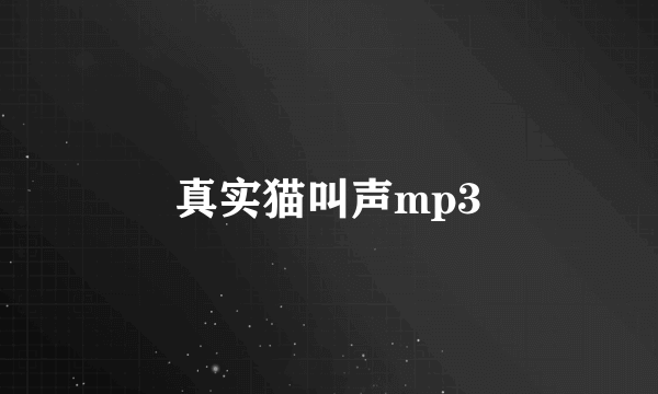 真实猫叫声mp3