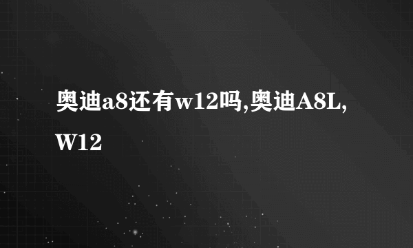 奥迪a8还有w12吗,奥迪A8L,W12