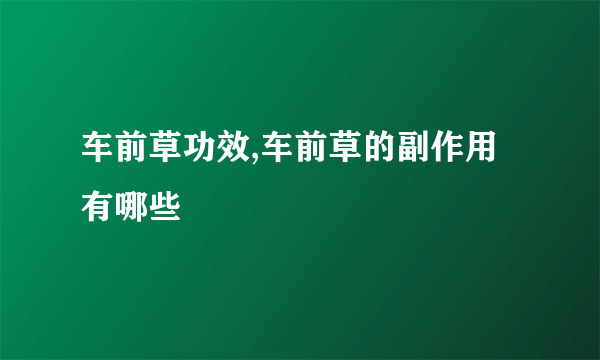 车前草功效,车前草的副作用有哪些