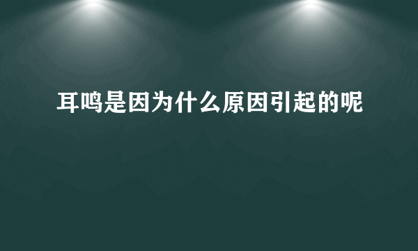 耳鸣是因为什么原因引起的呢