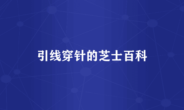 引线穿针的芝士百科