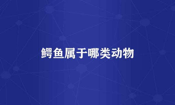 鳄鱼属于哪类动物