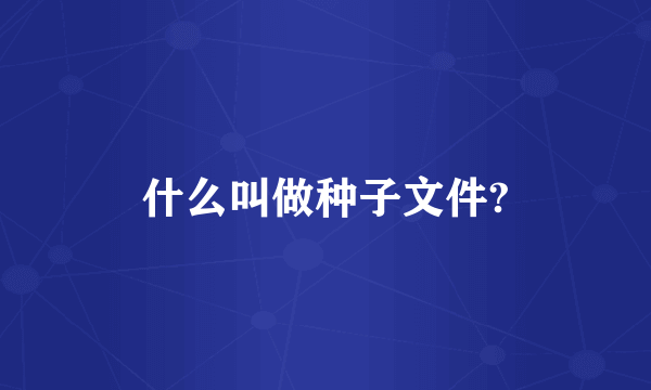 什么叫做种子文件?
