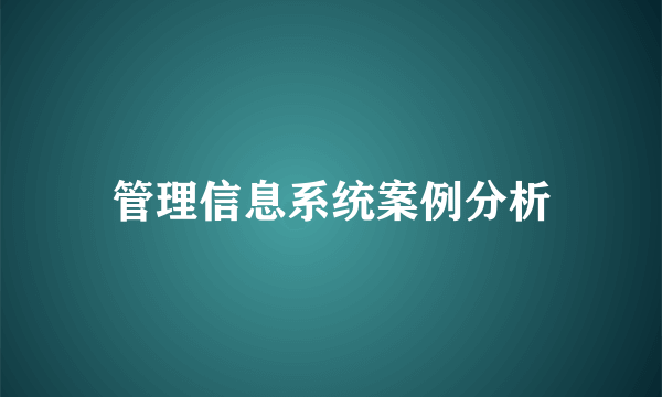 管理信息系统案例分析