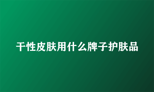 干性皮肤用什么牌子护肤品