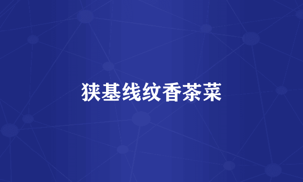 狭基线纹香茶菜