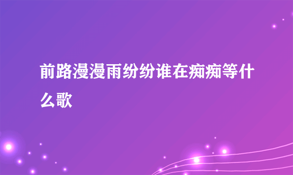 前路漫漫雨纷纷谁在痴痴等什么歌