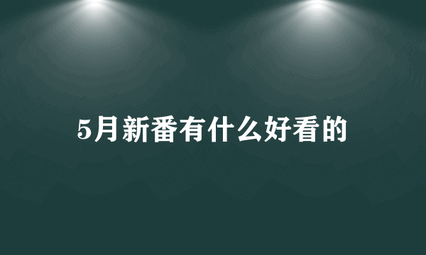 5月新番有什么好看的