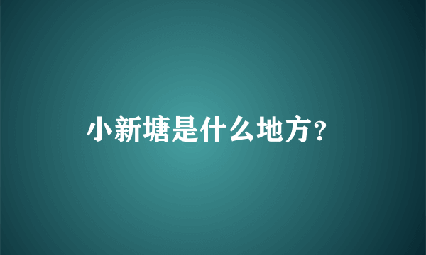 小新塘是什么地方？
