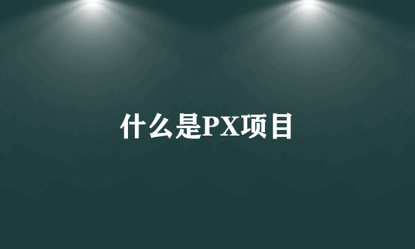 什么是PX项目